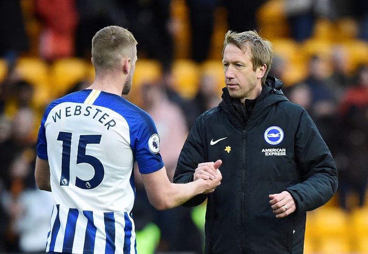 Brighton & Hove Albion are two points away from the relegation zone of the Premier League