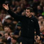 Fulham are ready to dominate at home and beat Wolves in their upcoming Premier League match